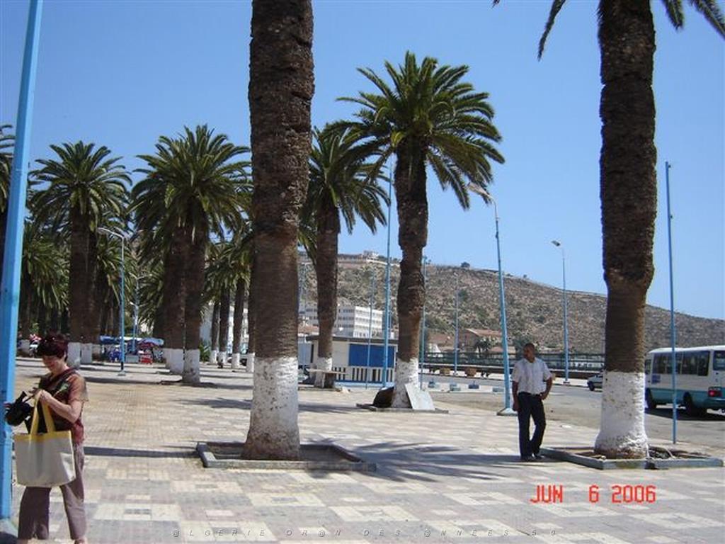 06 2006 ARZEW ET SES PALMIERS 02.jpg